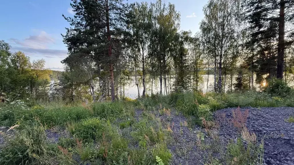 Участок 36,5 сот. (ИЖС) - Фото 1