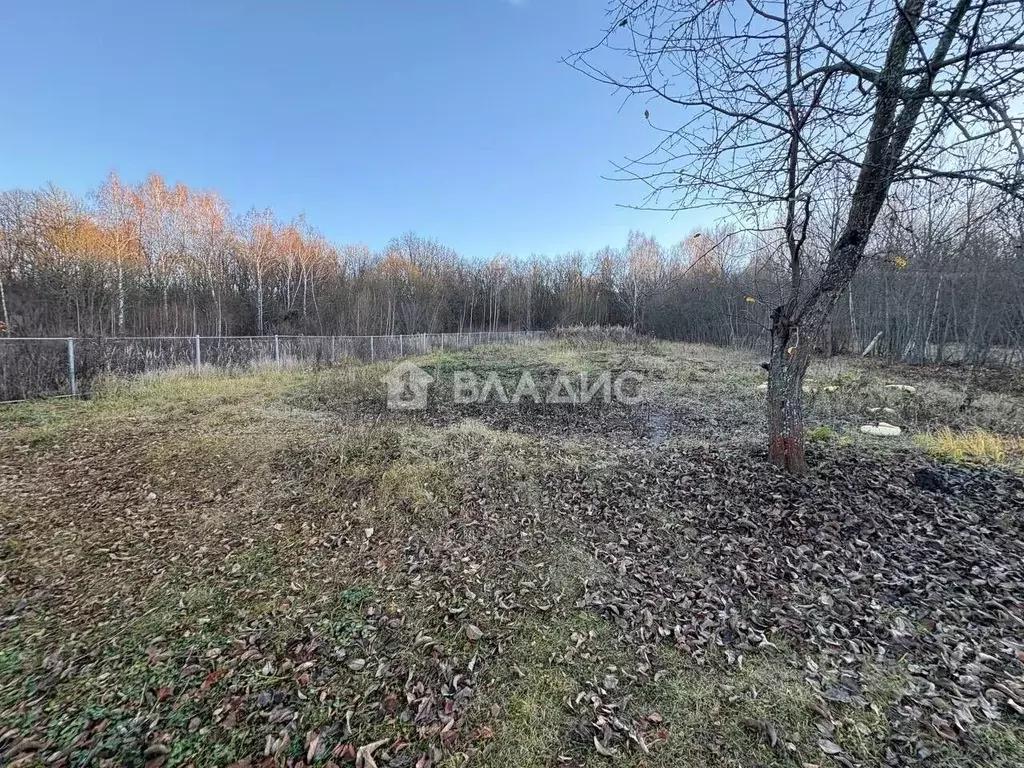 Участок в Пензенская область, Пензенский район, Алферьевский ... - Фото 1