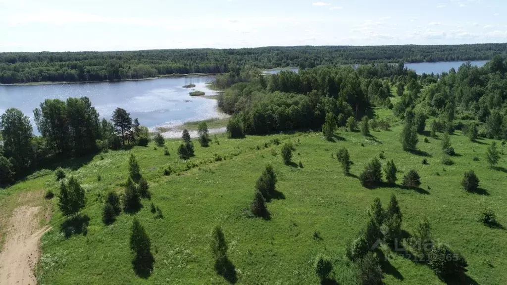 Участок в Новгородская область, Валдайский район, Едровское с/пос, д. ... - Фото 1