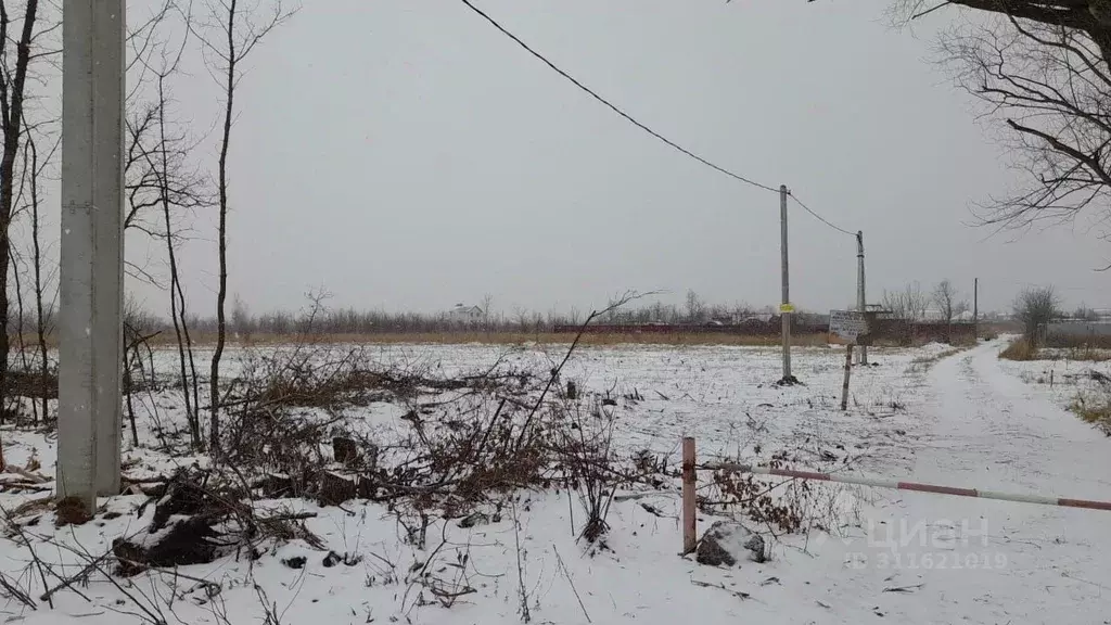 Участок в Воронежская область, Новоусманский район, Усманское 1-е ... - Фото 0