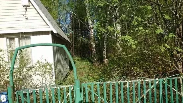 Дом в Московская область, Орехово-Зуевский городской округ, Лесные ... - Фото 2
