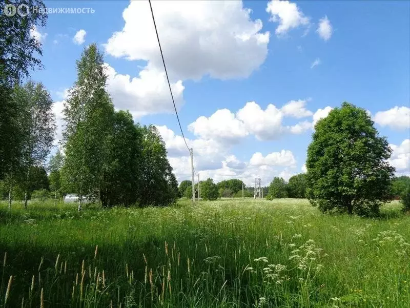 Участок в Мшинское сельское поселение, деревня Малая Ящера (25 м) - Фото 0