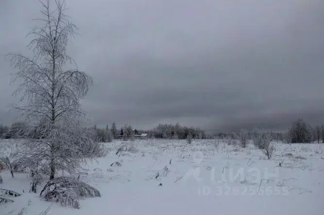 Участок в Московская область, Шаховская муниципальный округ, д. ... - Фото 1