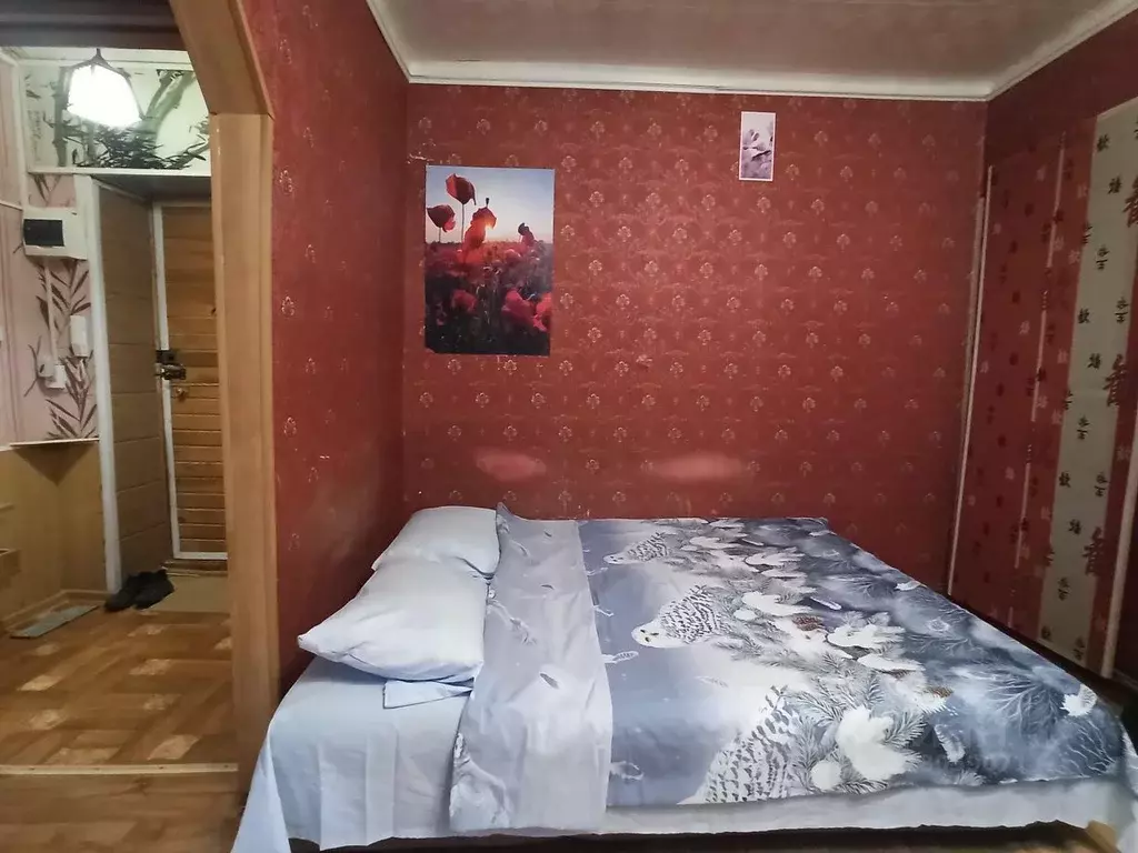 2-к кв. Красноярский край, Красноярск ул. Ленина, 95 (45.0 м) - Фото 1