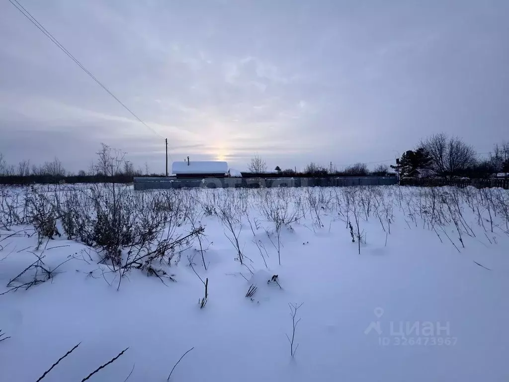 Участок в Тюменская область, Тюмень Автомобилист СНТ, ул. Рябиновая ... - Фото 2