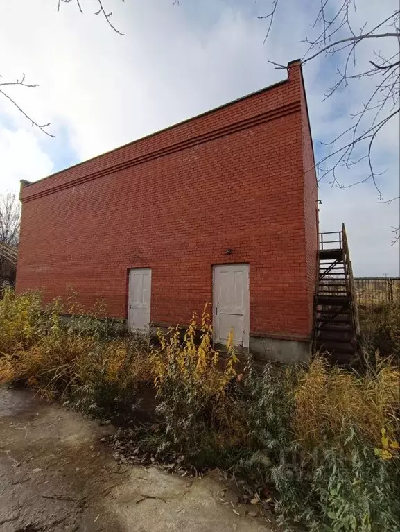Помещение свободного назначения в Московская область, Домодедово Белые ... - Фото 1