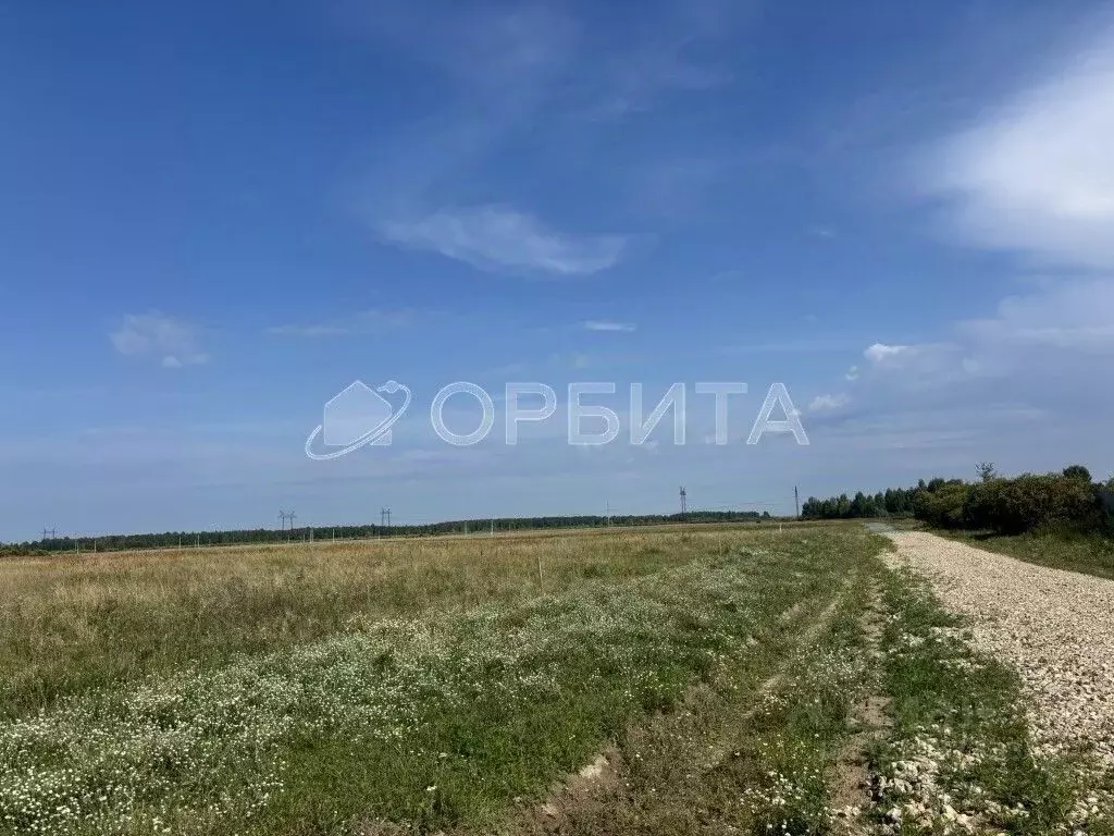 Участок в Тюменская область, Нижнетавдинский муниципальный округ, ... - Фото 2