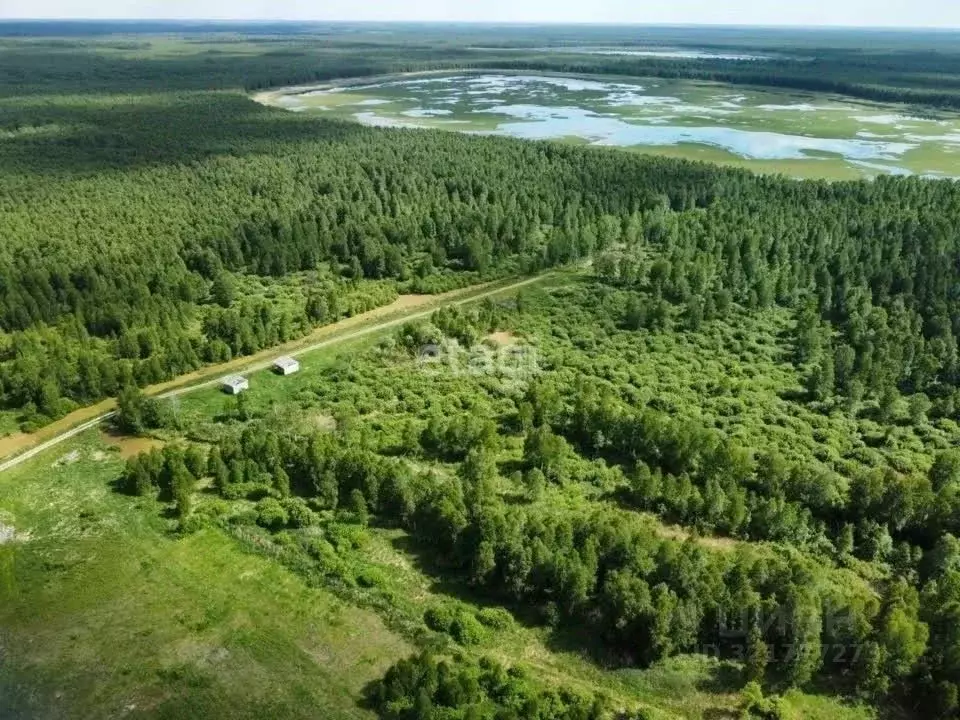 Участок в Тюменская область, Нижнетавдинский муниципальный округ, ... - Фото 0