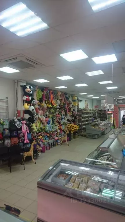Торговая площадь в Нижегородская область, Нижний Новгород ул. ... - Фото 1