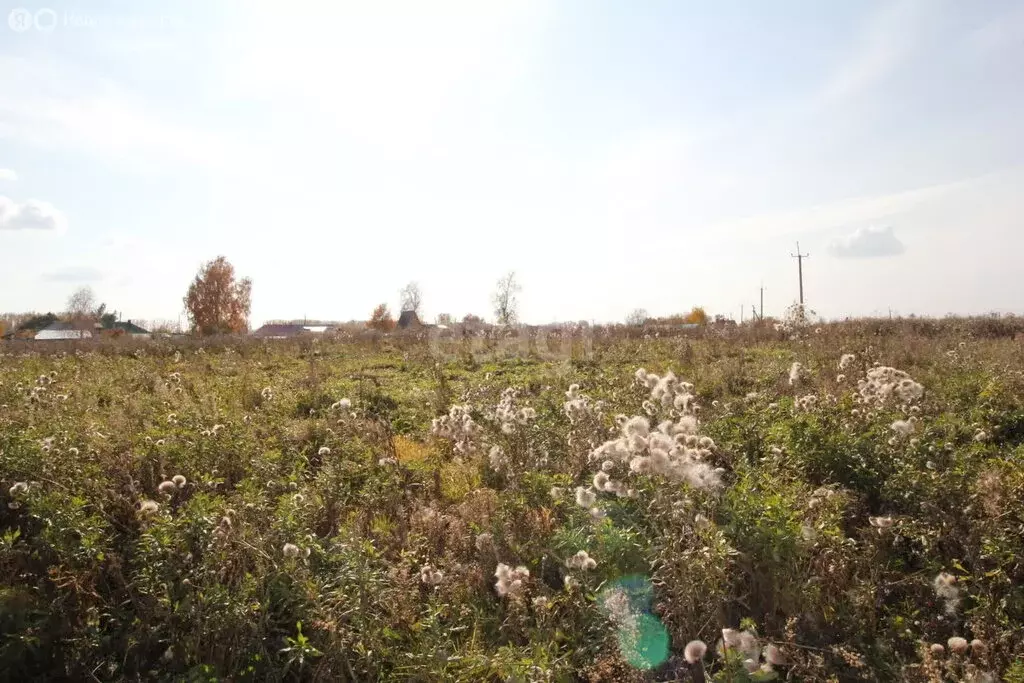 Участок в село Сокур, Садовая улица, 36 (27.8 м) - Фото 0