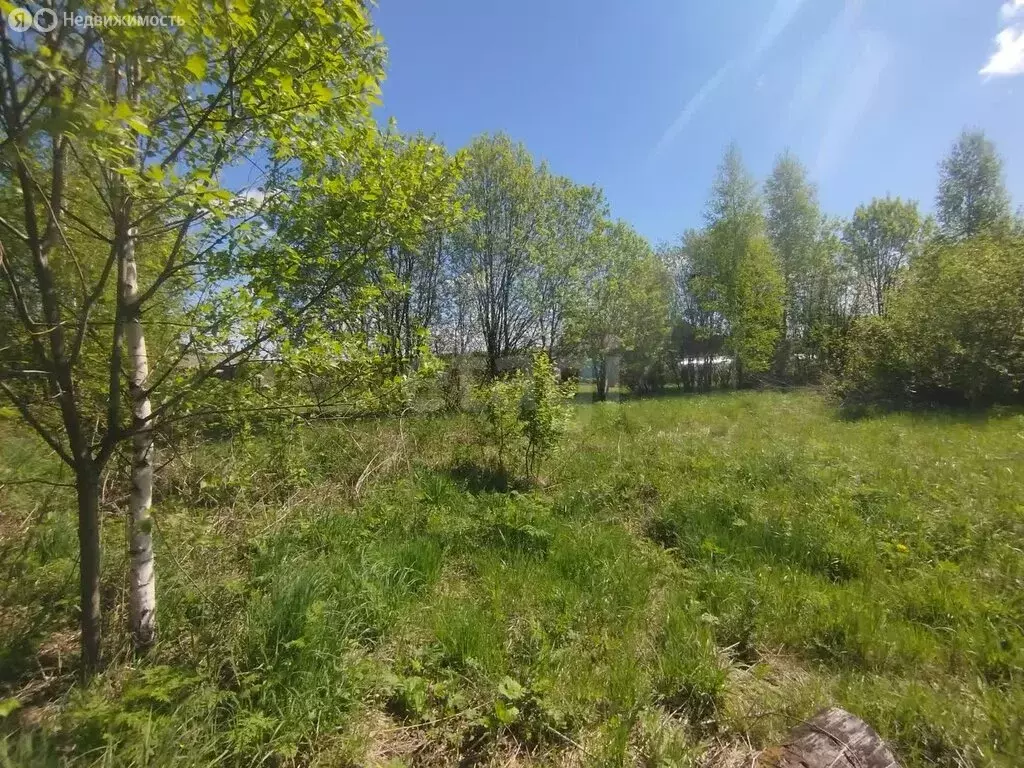 Участок в Костромская область, городской округ Шарья, деревня ... - Фото 1