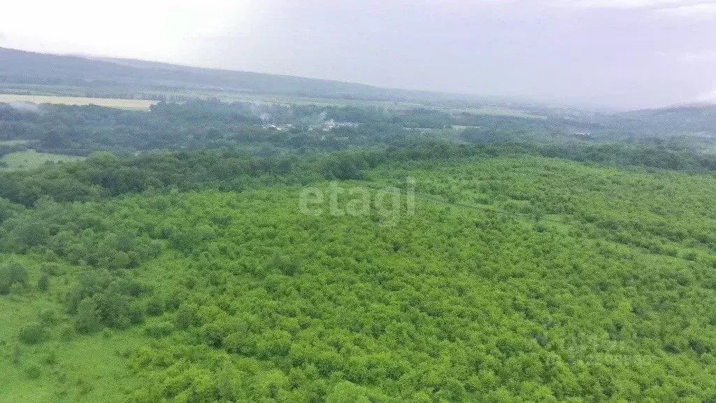 Участок в Адыгея, Майкопский район, Абадзехская ст-ца  (81.0 сот.) - Фото 0