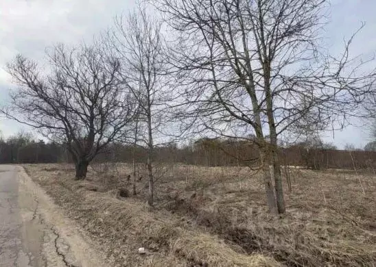 Участок в Московская область, Серпухов городской округ, д. Новики  ... - Фото 1