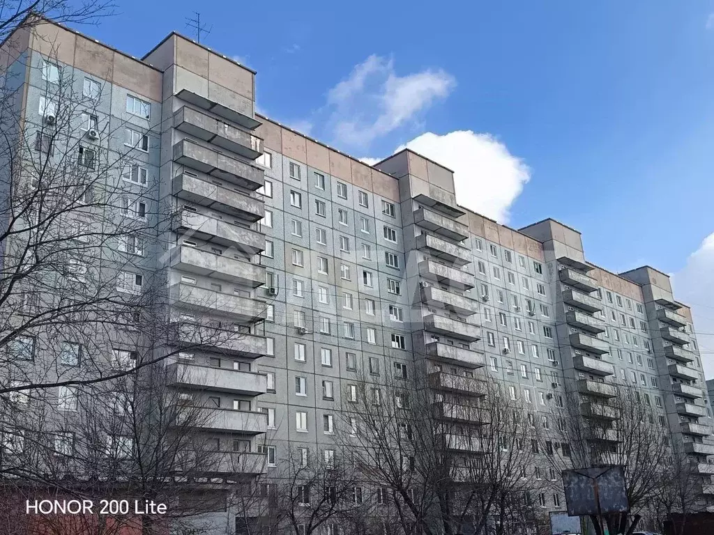 1-к кв. Омская область, Омск ул. Кирова, 20 (40.8 м) - Фото 1