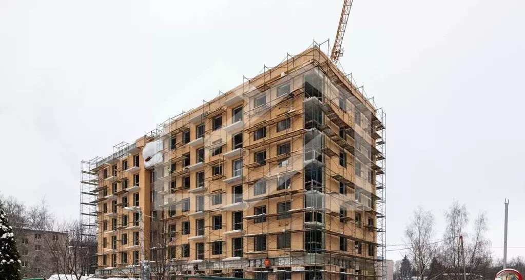 Торговая площадь в Московская область, Одинцовский городской округ, ... - Фото 1