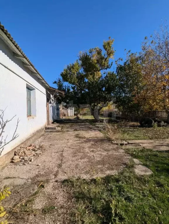 Дом в Крым, Черноморский район, Межводненское с/пос, с. Новоульяновка ... - Фото 1