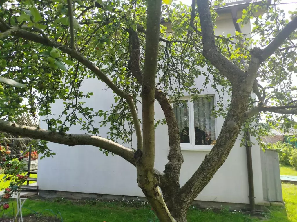 Дом в Калининград (63 м) - Фото 2