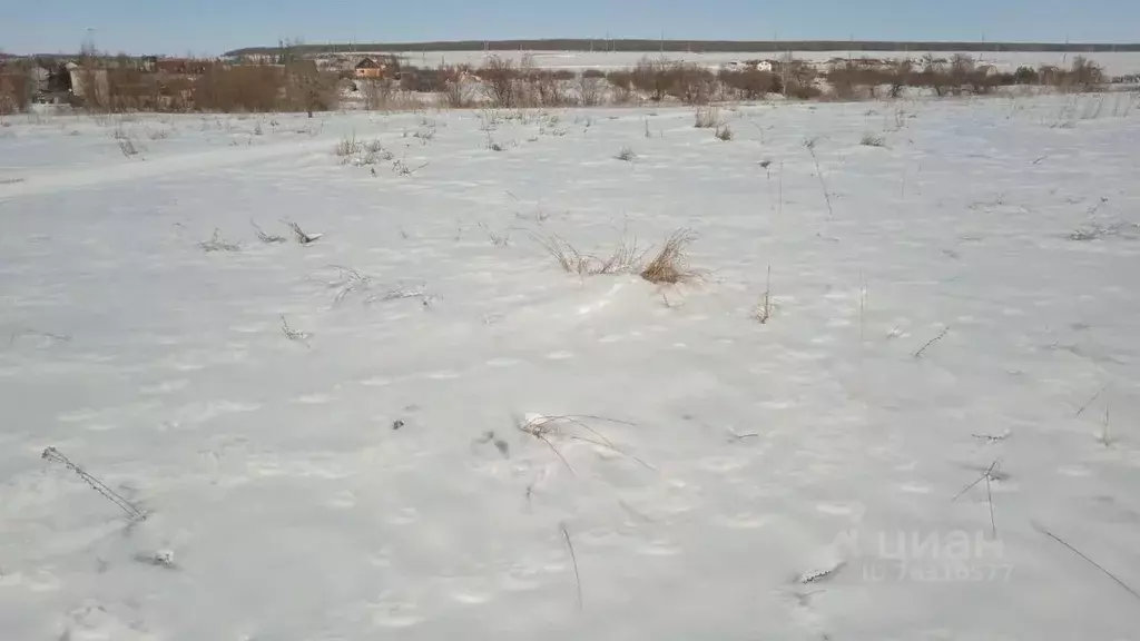 Участок в Саратовская область, Татищевский район, Идолгское ... - Фото 1