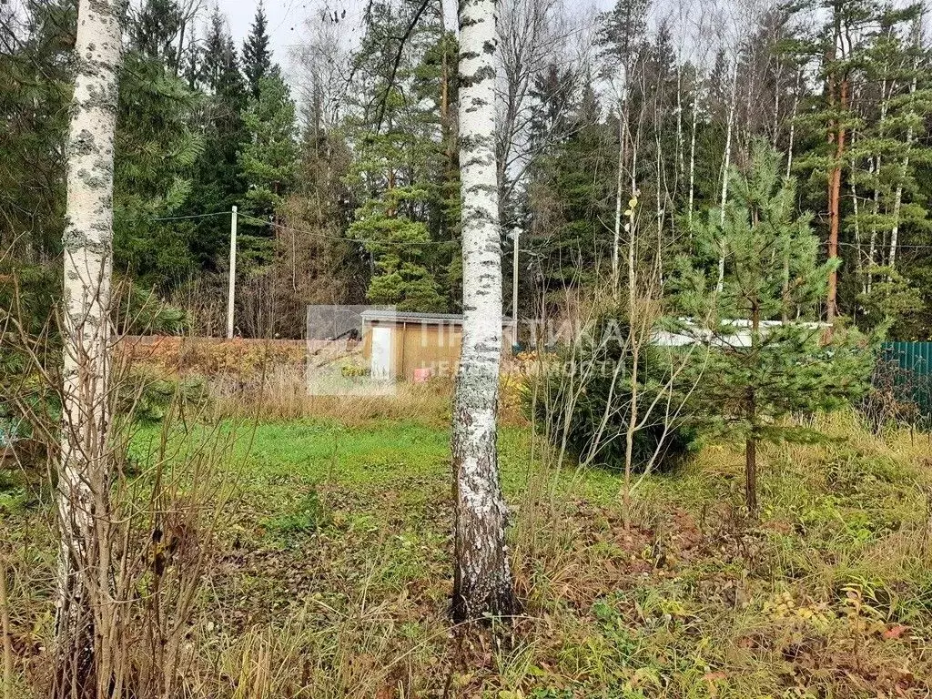 Участок в Московская область, Солнечногорск городской округ, д. ... - Фото 0