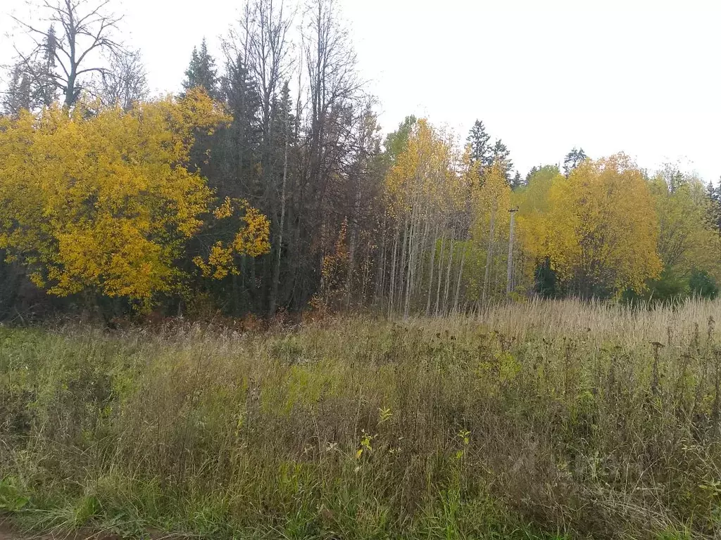 Участок в Пермский край, Пермский муниципальный округ, д. Степаново  ... - Фото 1