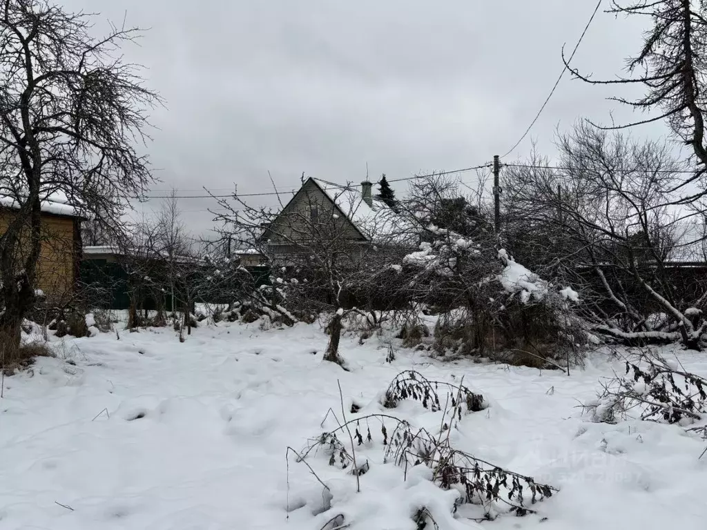 Участок в Ленинградская область, Ломоносовский район, Ропшинское ... - Фото 2