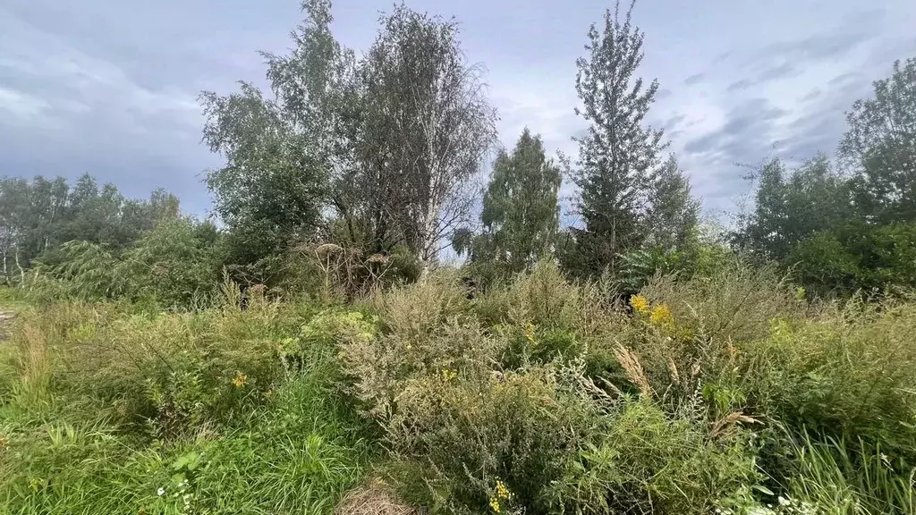 Участок в Московская область, Истра ул. Ленина, Река Истра (20.0 сот.) - Фото 1