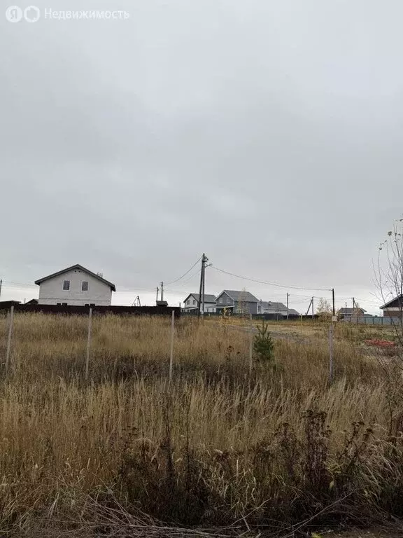 Участок в Нижегородская область, Богородский муниципальный округ, село ... - Фото 2