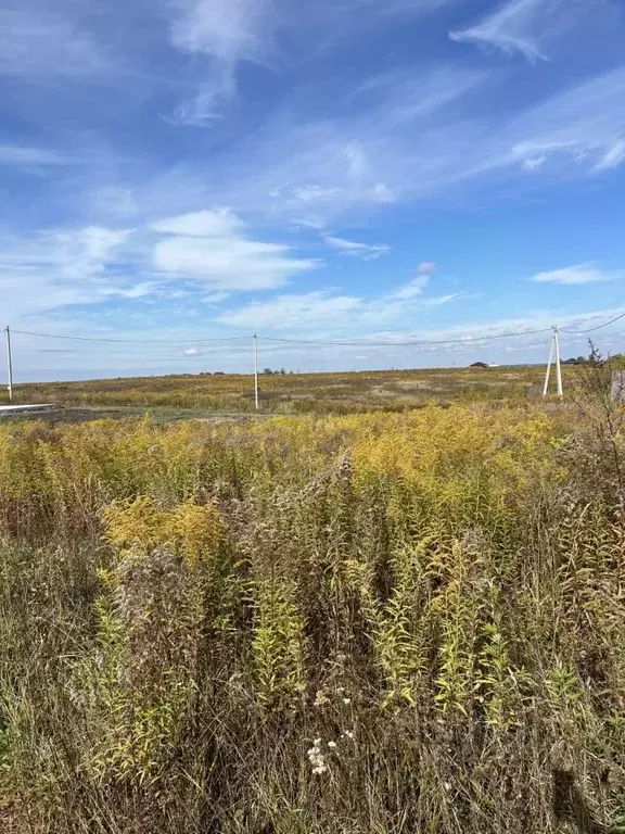 Участок в Брянская область, Брянский район, Отрадненское с/пос, с. ... - Фото 2