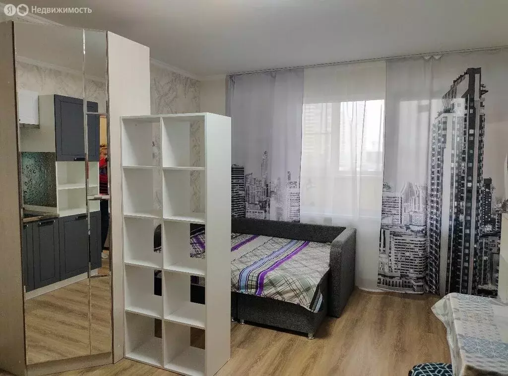 Квартира-студия: Шушары, Новгородский проспект, 2к1 (25 м) - Фото 1