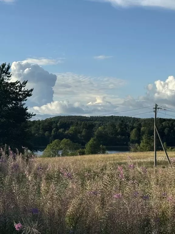 Участок в Карелия, Сортавальский муниципальный округ, пос. Ламберг  ... - Фото 1