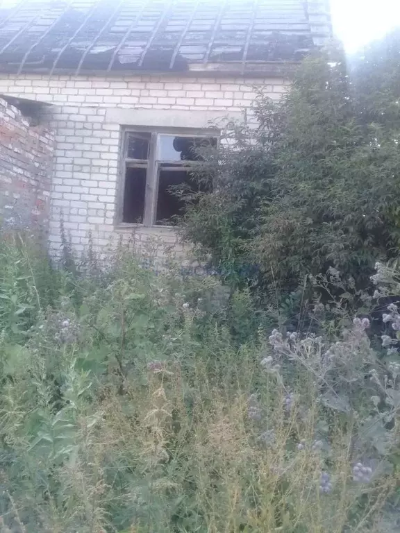 Дом в Нижегородская область, Дивеевский муниципальный округ, с. ... - Фото 2