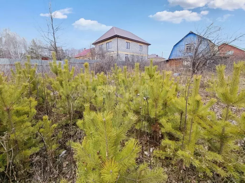 Участок в Свердловская область, Белоярский муниципальный округ, пос. ... - Фото 1