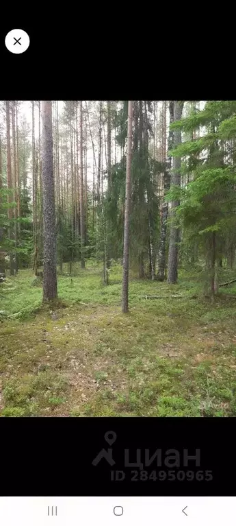 Участок в Карелия, Питкярантский муниципальный округ, д. Ууксу  (15.0 ... - Фото 0