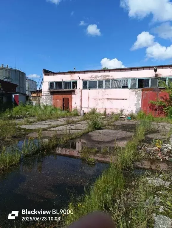 Помещение свободного назначения в Московская область, Электрогорск ... - Фото 1