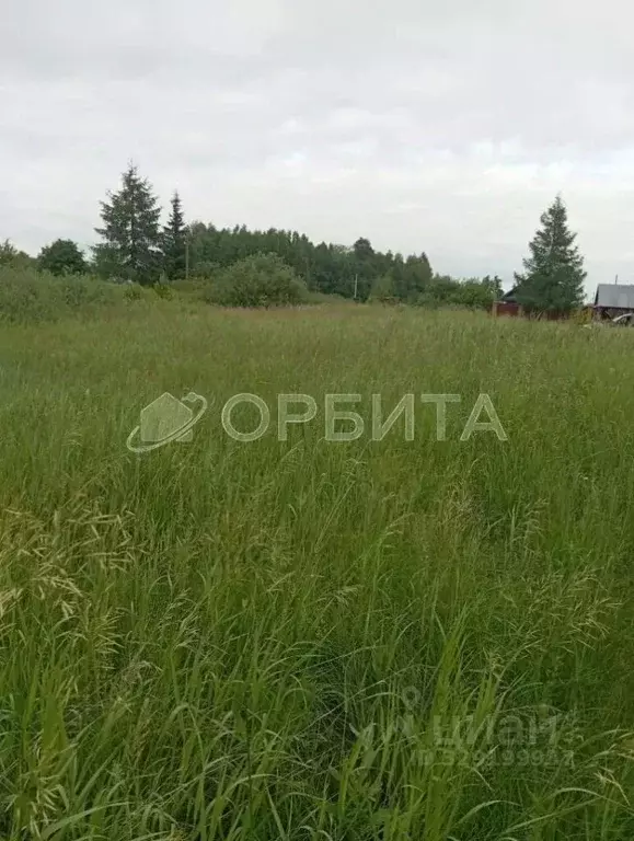 Участок в Тюменская область, Ялуторовский муниципальный округ, ... - Фото 2