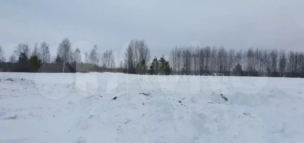 Участок 11,4 сот. (ИЖС) - Фото 0