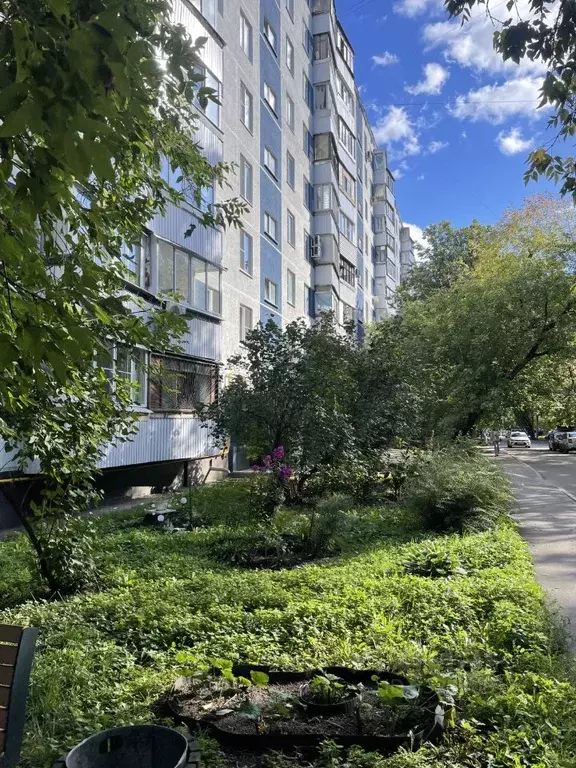 3-к кв. Москва Студеный проезд, 38к1 (56.4 м) - Фото 2