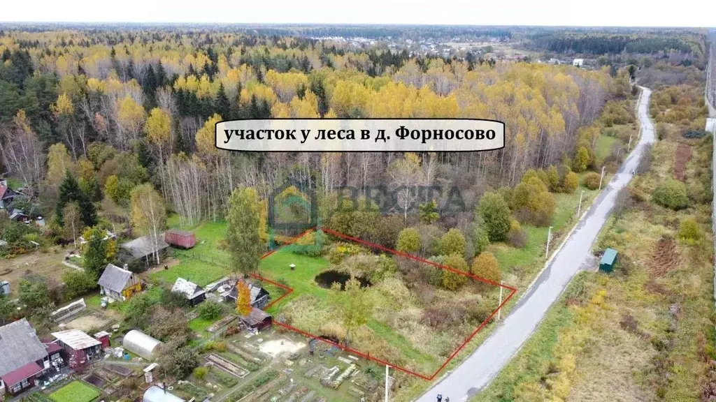 Участок в Ленинградская область, Тосненский район, Форносовское ... - Фото 1