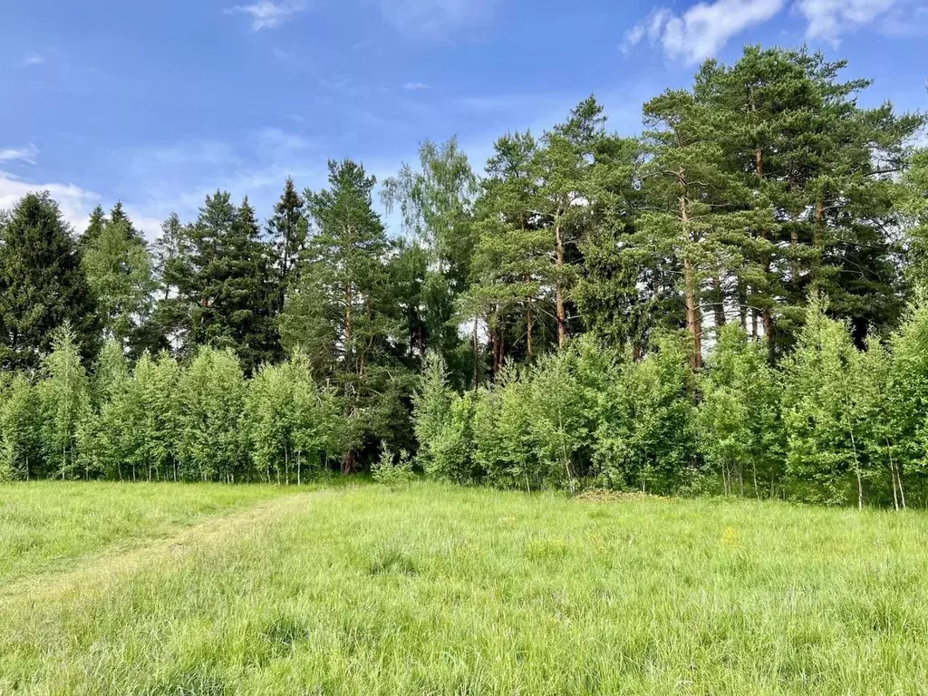 Участок в Московская область, Пушкино Новая Деревня мкр, Центральная ... - Фото 2