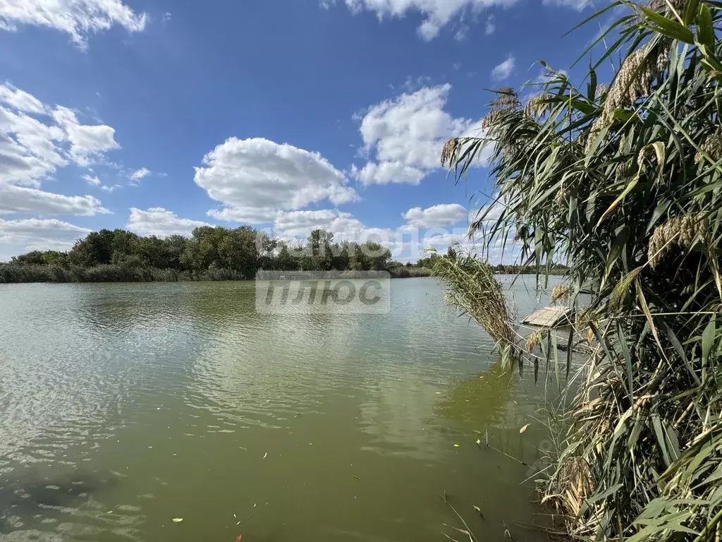 Участок в Краснодарский край, Динской район, с. Красносельское, ... - Фото 1