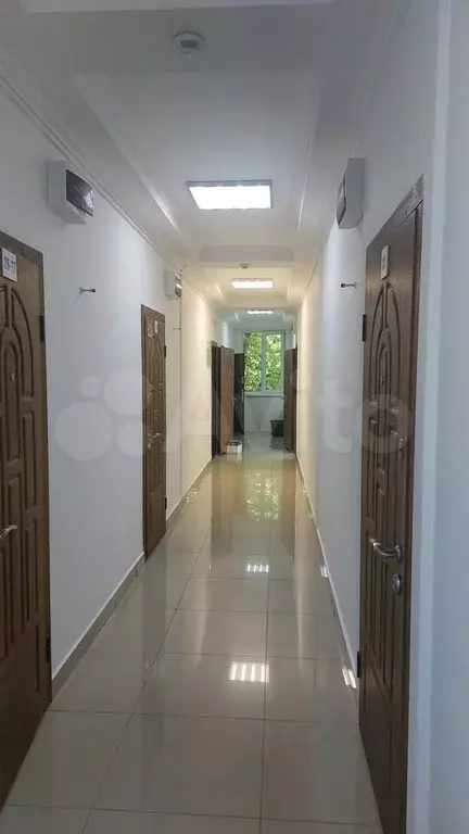 Представительский офис руководителя 51.8 м - Фото 1