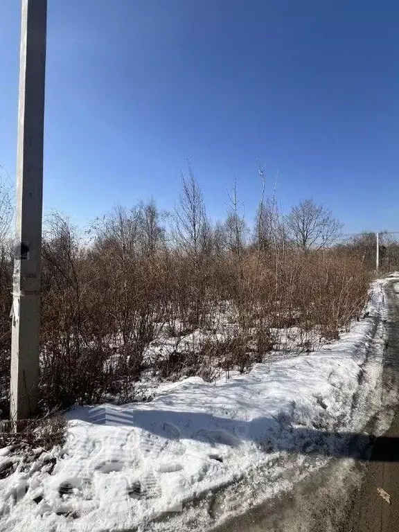 Участок в Приморский край, Артем Глобус-1 СТ,  (10.0 сот.) - Фото 2