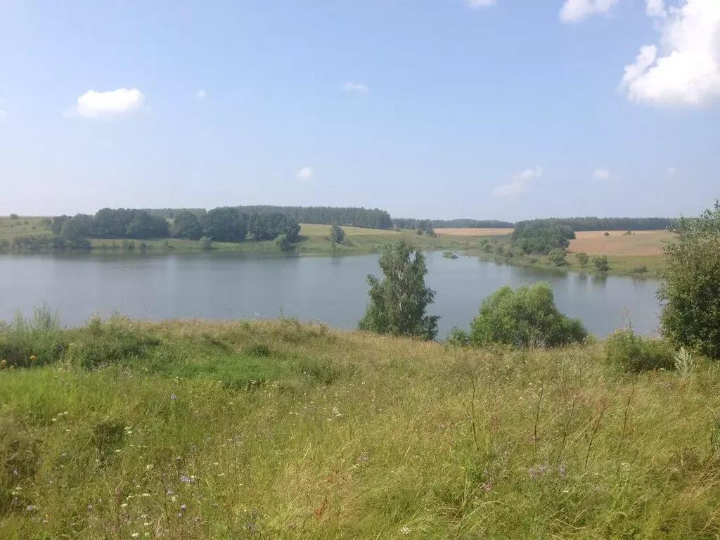 Участок в Тульская область, Алексин городской округ, д. Большое ... - Фото 0