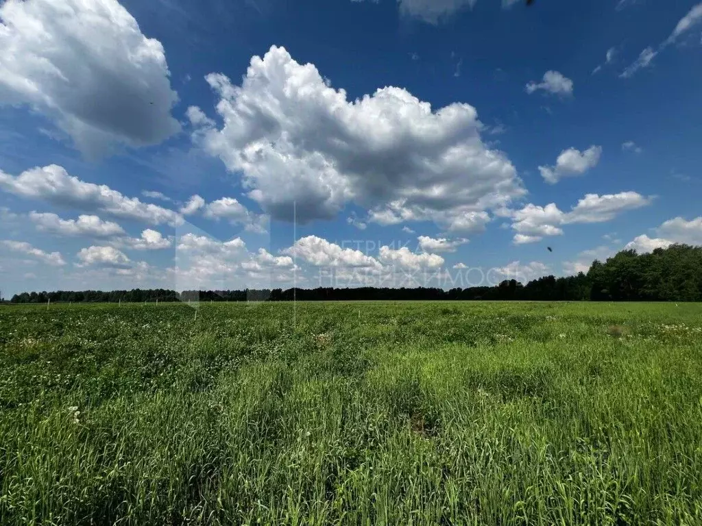 Участок в Тюменская область, Тюменский район, д. Малиновка  (6.2 сот.) - Фото 1