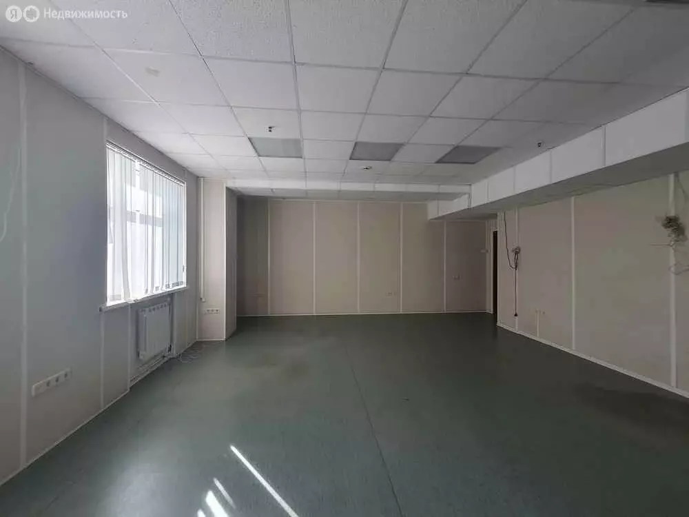 Офис (43.2 м) - Фото 2
