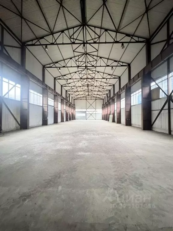 Склад в Краснодарский край, Сочи городской округ, Дагомыс пгт ш. ... - Фото 1