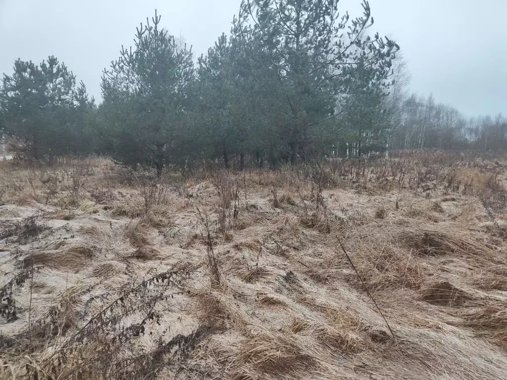 Участок в Московская область, Лотошино муниципальный округ, с. ... - Фото 1