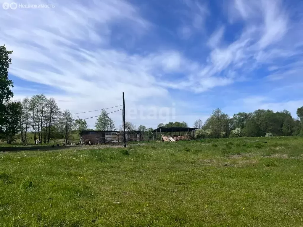 участок в калининградская область, багратионовский муниципальный . - Фото 1