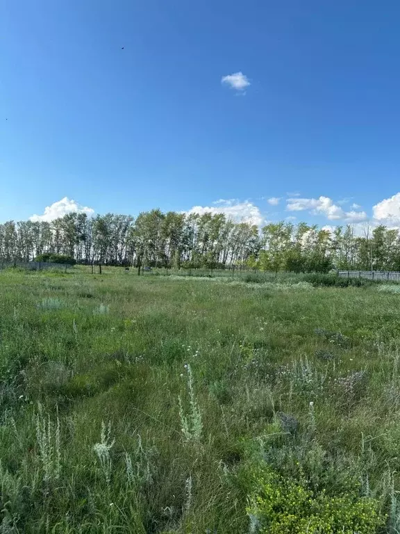 Участок в Башкортостан, Буздякский район, Гафурийский сельсовет, с. ... - Фото 1