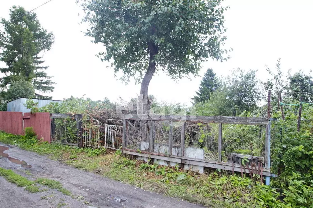 Участок в Ялуторовск, СТ Садовод (2.9 м) - Фото 2